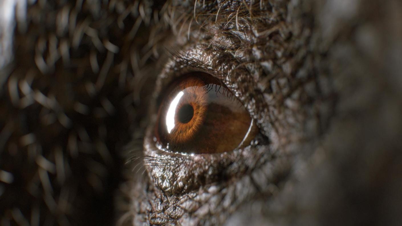 https://static.chaos.com/gallery_images/images/000/000/136/gallery_image/yuki-sugimaya-eye-art-vray-maya.jpg?1518068704