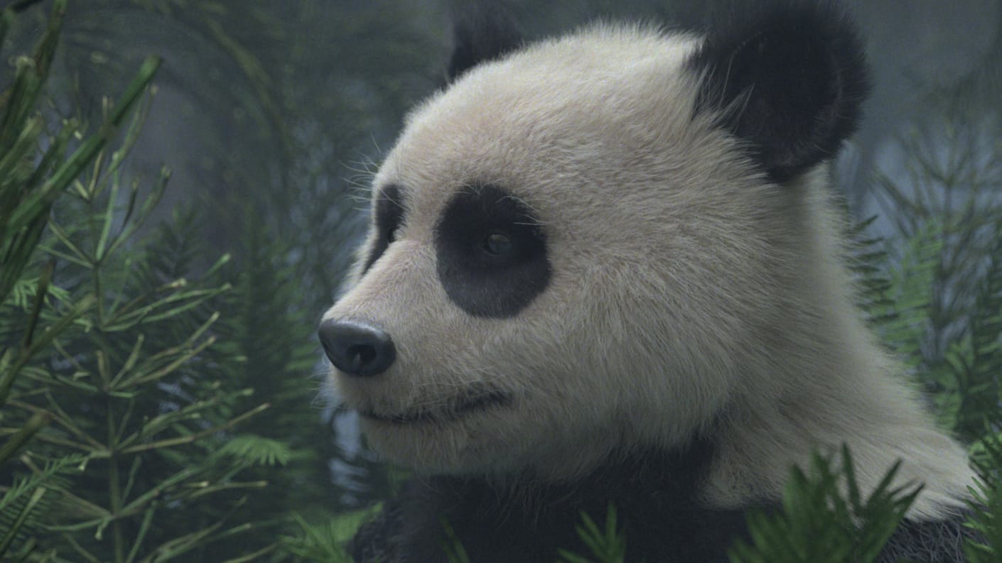 https://static.chaos.com/gallery_images/images/000/000/371/gallery_image/robert-hennings-panda-art-vray-modo.jpg?1518069221
