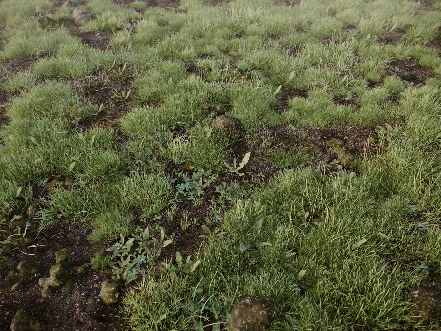 https://static.chaos.com/gallery_images/images/000/000/560/gallery_image/benjamin-springer-grass-art-vray-cinema-4d-01.jpg?1518069712