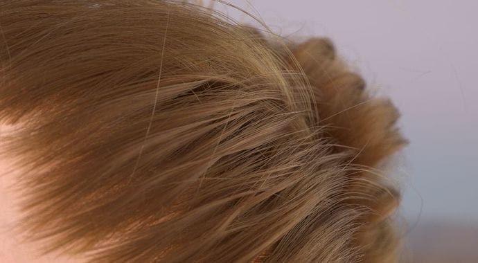 V-Ray Next: The science behind the new hair shader | Chaos