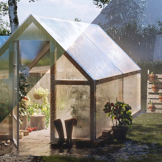 A sunny and stormy greenhouse scene