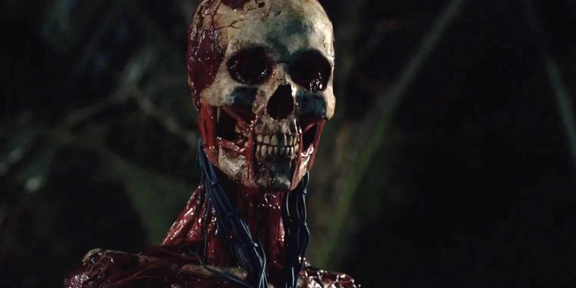 Oats-Studios-Skeleton.jpg