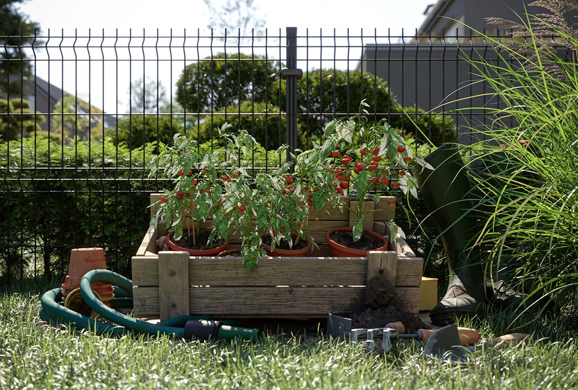 mariengaerten-tomatoes-teodor-vladov-1140x769.jpg