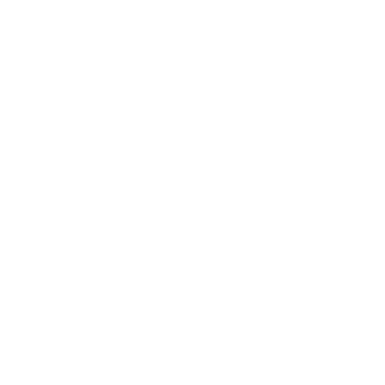 Particio and Gonzalo Architects