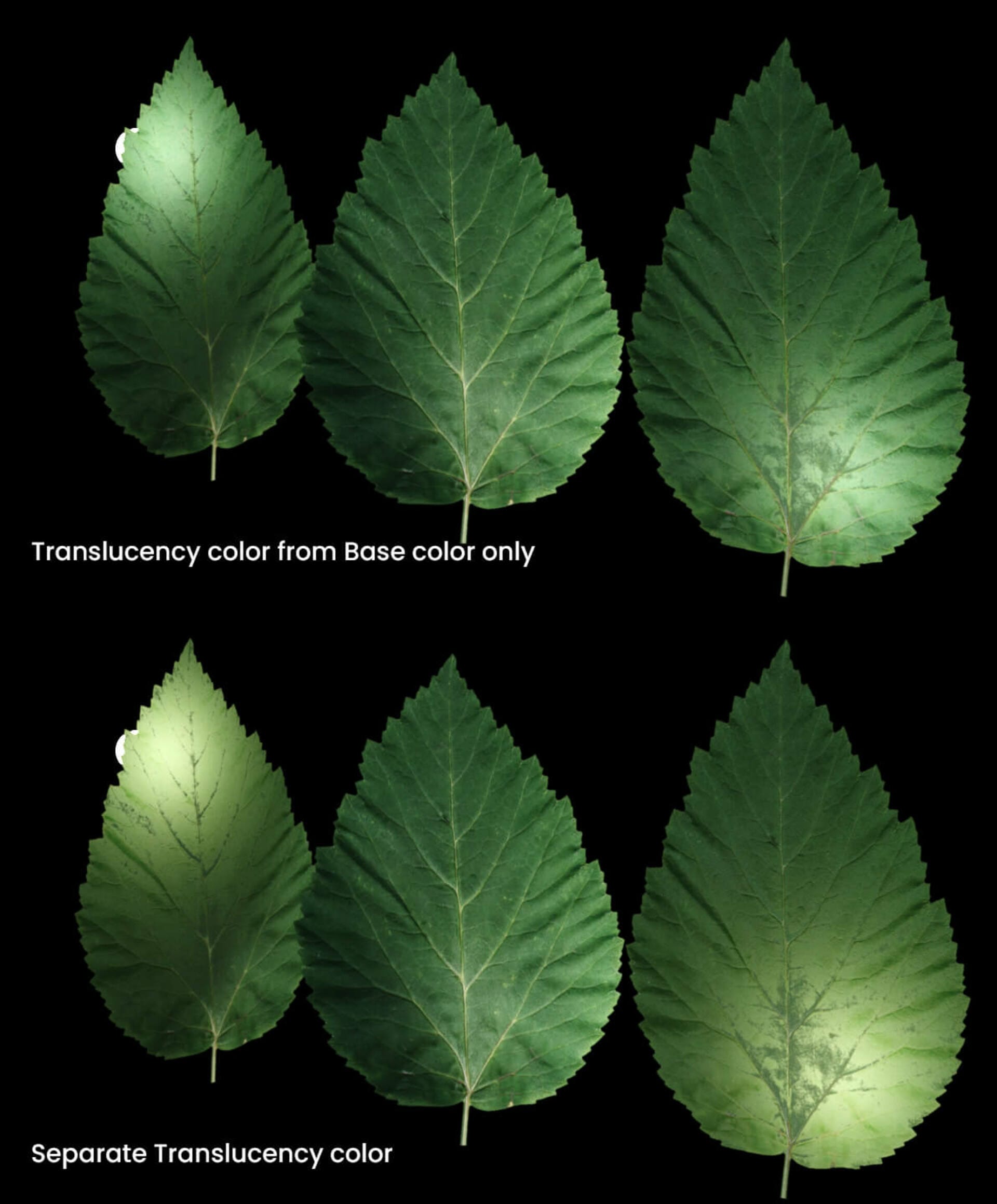 Separate-Translucency-Color.jpg