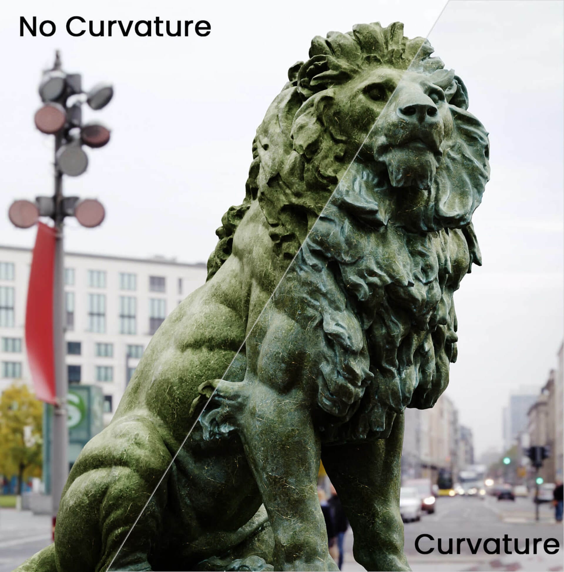 Curavture-Lion-Diagonal-Comparison.jpg