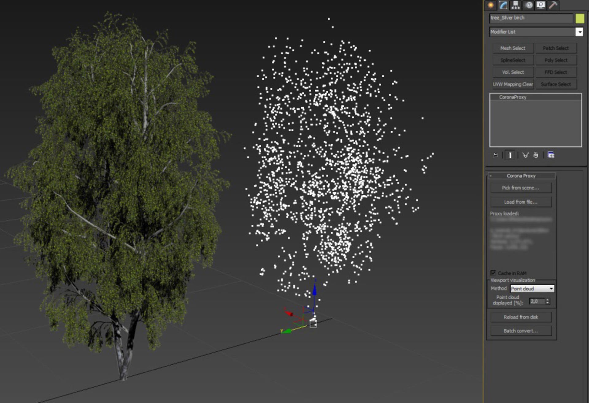 Tree_asset_point_cloud.jpg