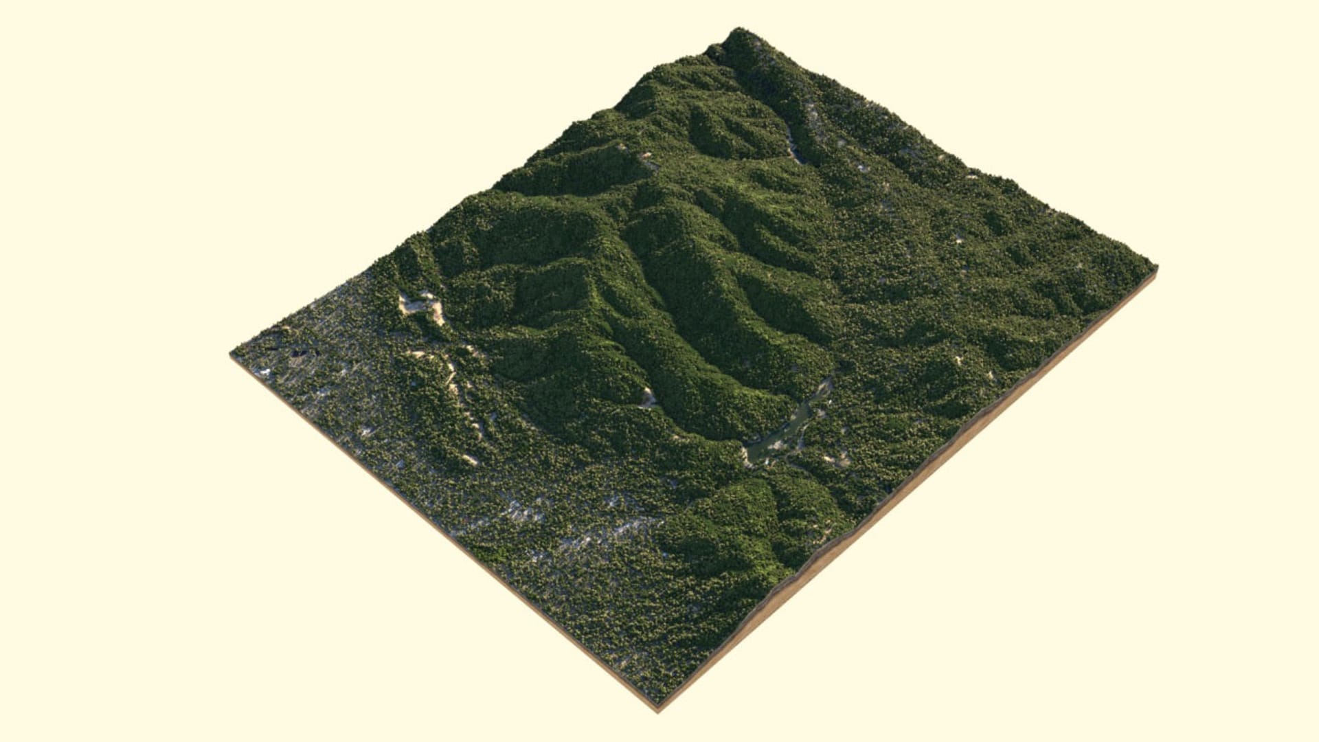 Aerial_view_of_dense_forrest.jpg