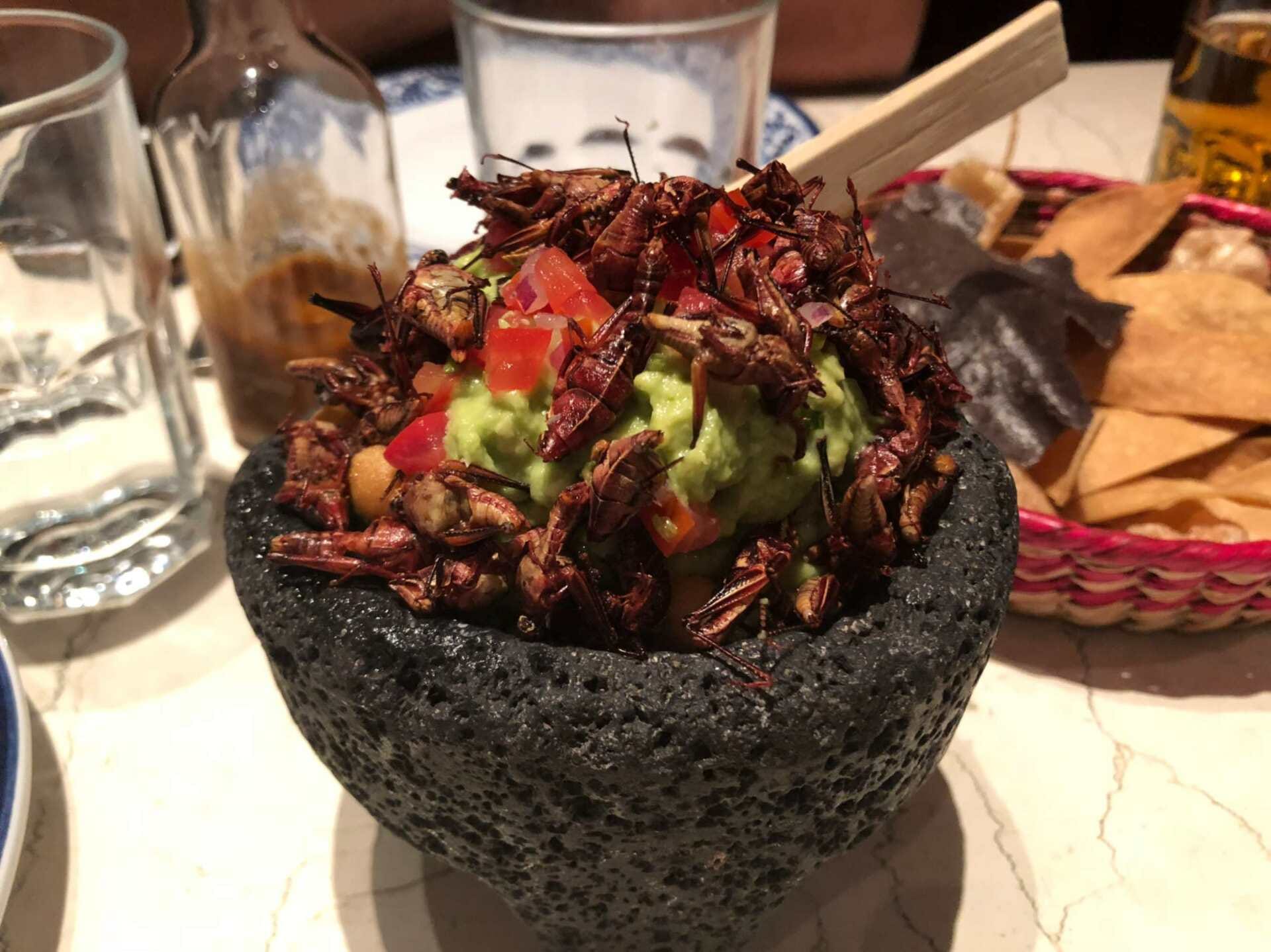 jpeg-optimizer_ivan-zabalza-07-chapulines-with-guacamole.jpg