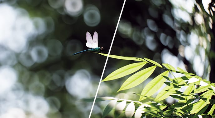 feature-thumb-optical-vignette-off_on-vantage-2.7-690x380.jpg