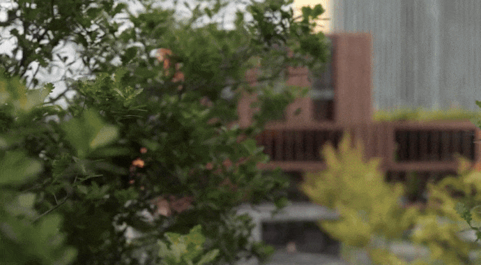 envision1-feature-animations-690x380.gif